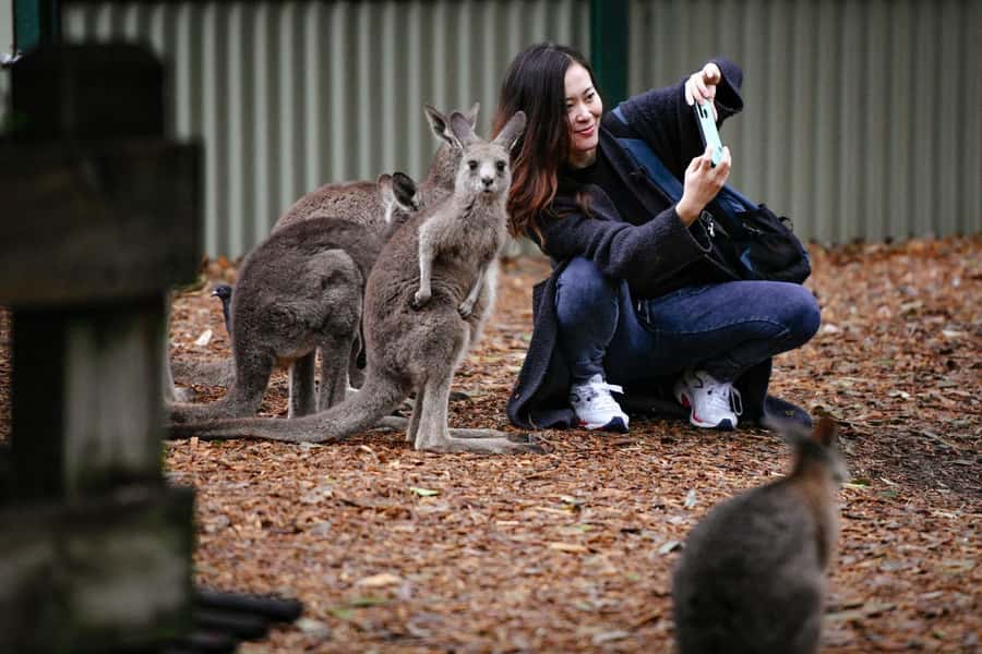Sydney: Featherdale Wildlife Park Private Tour - Keeper Talks and Conservation Lessons You Can Actually Use