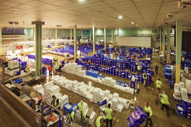 Sydney Fish Market Behind the Scenes Tour - Key things I’d prioritize on this tour