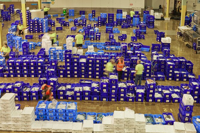 Sydney Fish Market Behind the Scenes Tour - Price and value for a 2-hour behind-the-scenes ticket