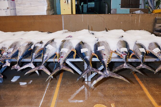 Sydney Fish Market Behind the Scenes Tour - How to find the meeting point and why 5:50am matters