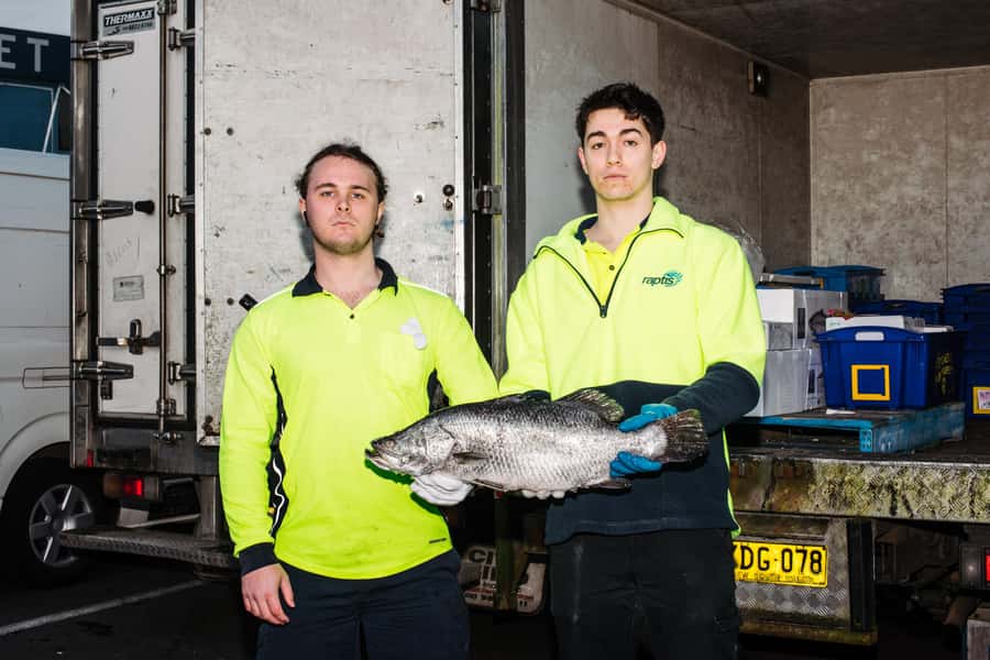 Sydney Fish Market Discovery Tour - Key Highlights to Look For