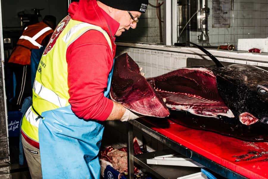 Sydney Fish Market Discovery Tour - Oysters Shucked Live: Watching the Process Makes It Click