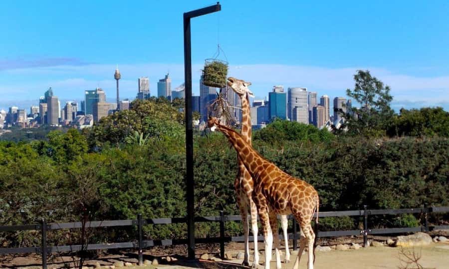 Sydney: Flexi Pass - Pick 3, 5 or 7 Experiences - Action and adrenaline: bike time, archery, and VR rooms