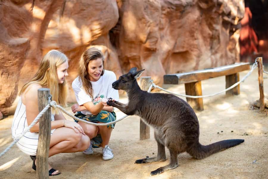 Sydney: Flexi Pass - Pick 3, 5 or 7 Experiences - Mystery, ghosts, and game nights: Escape Hunt, Adventure Clues, and tours
