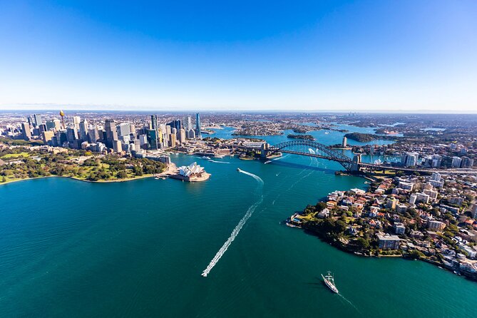 Sydney Grand Tour by Helicopter - Wildlife odds in season: dolphins or whales