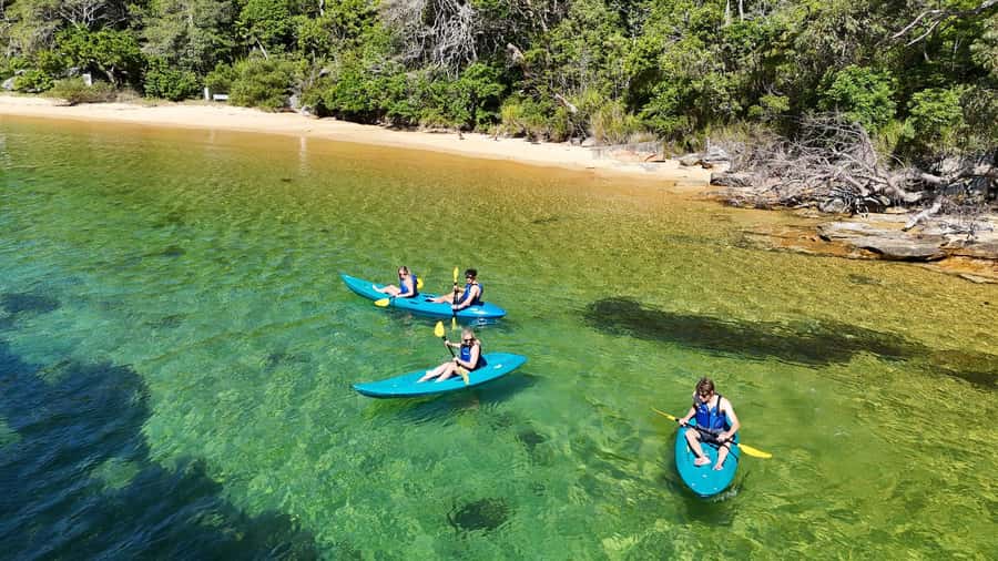 Sydney: Guided Kayak Taster Tour from Manly - Key things to know before you go