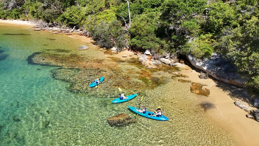 Sydney: Guided Kayak Taster Tour from Manly - Why this Manly kayak taster feels like the right kind of “first time”