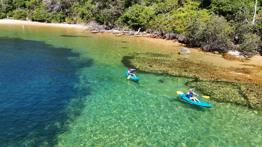 Sydney: Guided Kayak Taster Tour from Manly - What’s included, and what you should expect to use