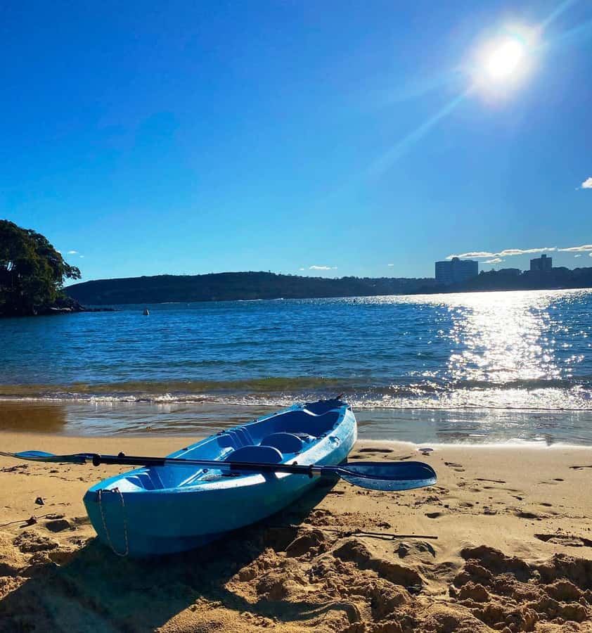 Sydney: Guided Kayak Taster Tour from Manly - Your free hour at the beach: relax, swim, or keep paddling