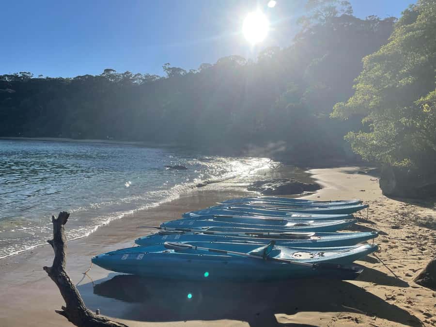 Sydney: Guided Kayak Taster Tour from Manly - Gear, comfort, and what to bring so you’re happy after