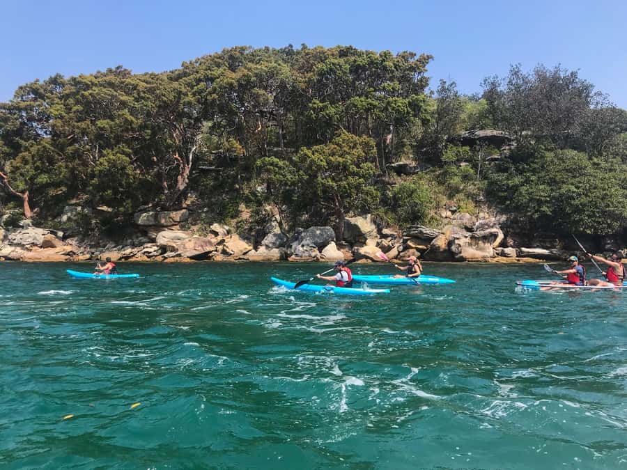 Sydney: Guided Kayak Tour of Manly Cove Beaches - Kayak basics that matter: single vs double and what to choose