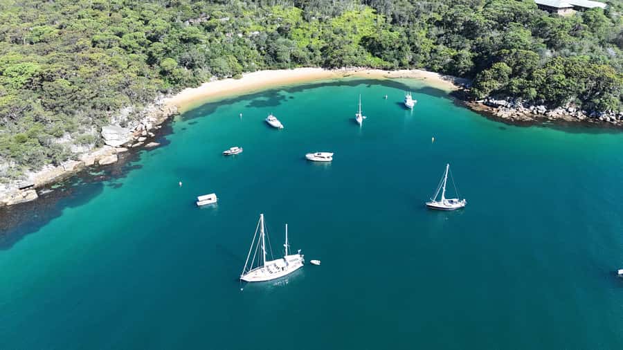 Sydney: Guided Kayak Tour of Manly Cove Beaches - The stop for juice and snacks, plus time to swim