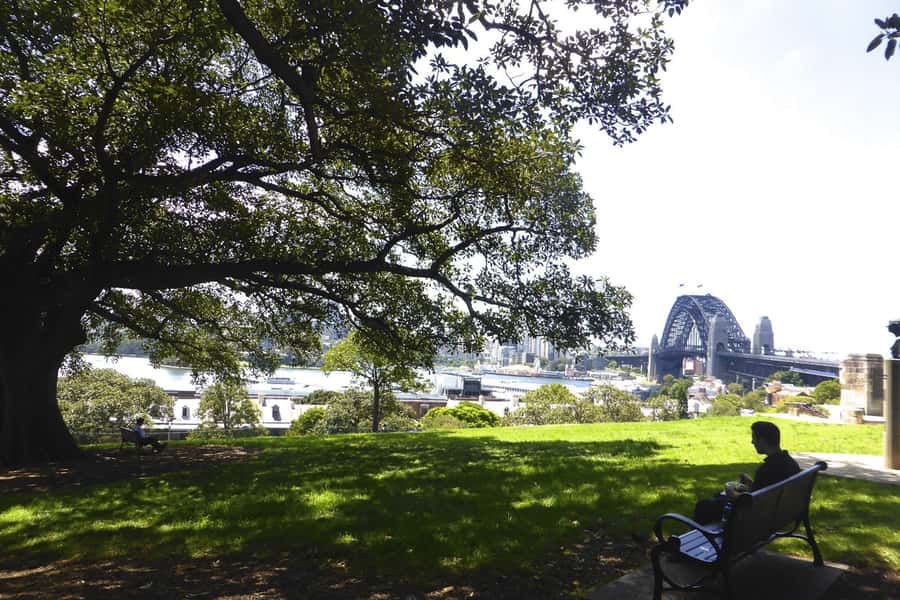 Sydney: Half-Day City Tour - Bondi Beach, Tamarama (Glamorama), and Bronte with time to breathe