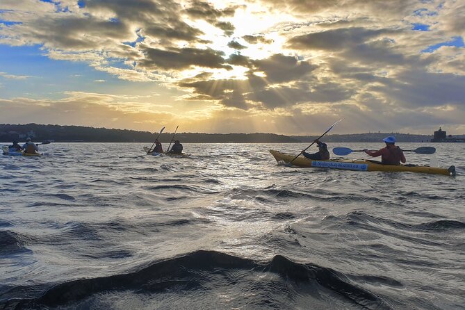 Sydney Harbour Bridge Kayak & Breakfast Tour - Kayak-First Sydney: Why This 7:00 am Start Is Worth It
