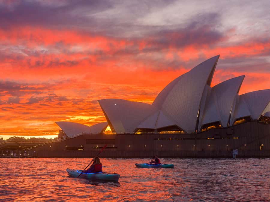 Sydney: Harbour Sunrise Kayak Tour - Photo stops, break time, and the free media gift