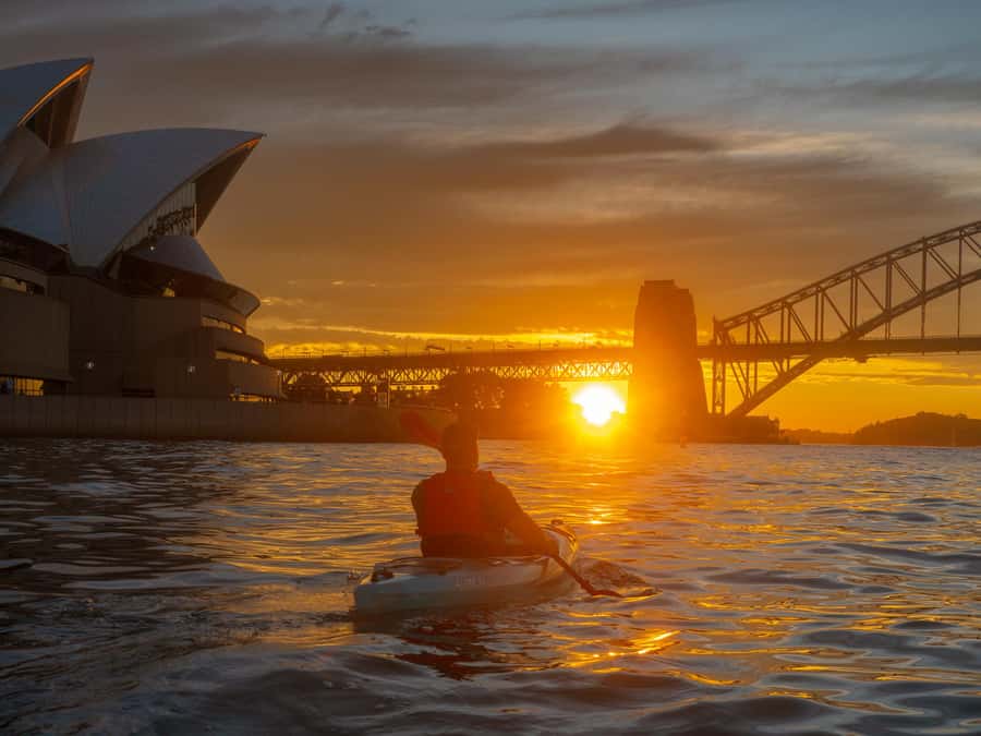 Sydney: Harbour Sunrise Kayak Tour - Dolphin spotting and marine life watching on a calm morning