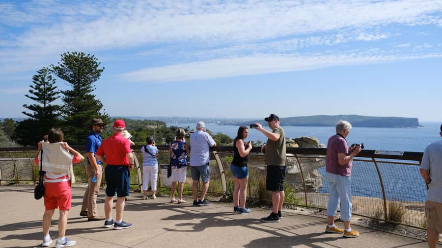 Sydney Harbour to Bondi: Small Group Half–Day Experience - Paddington terrace houses: why that neighborhood feels like a palate cleanser