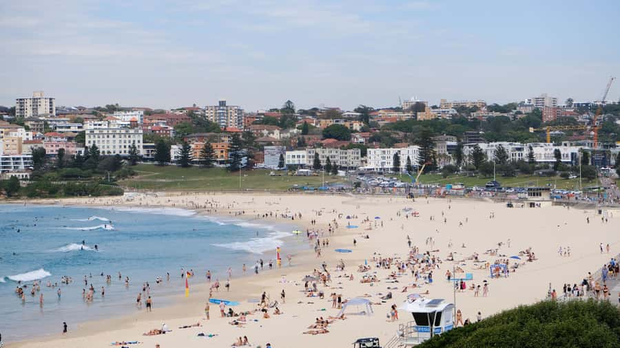 Sydney Harbour to Bondi: Small Group Half–Day Experience - Live guides, real storytelling, and how guide quality shows up