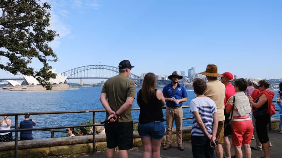 Sydney Harbour to Bondi: Small Group Half–Day Experience - Price and logistics: is $108 worth it for a half-day?