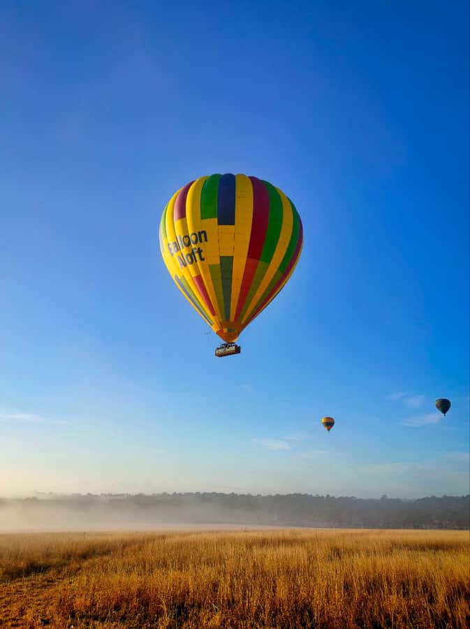 Sydney: Hunter Valley Sunrise Balloon Flight with Transfer - Key things I’d circle before you book