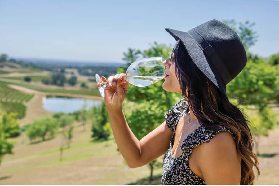 Sydney: Hunter Valley Wineries Day Trip with Food Tastings - Pickup and the 10-hour reality check