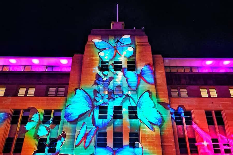 Sydney: Intimate Vivid Harbour Cruise with Canapes - Photo strategy: when to move, where to stand, what to bring