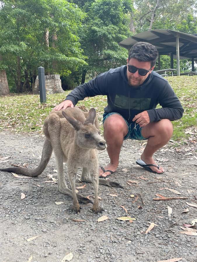 Sydney: Jervis Bay Day Trip with Dolphins, Roos & Beach Time - Value check: is $120 per person a fair deal for this day