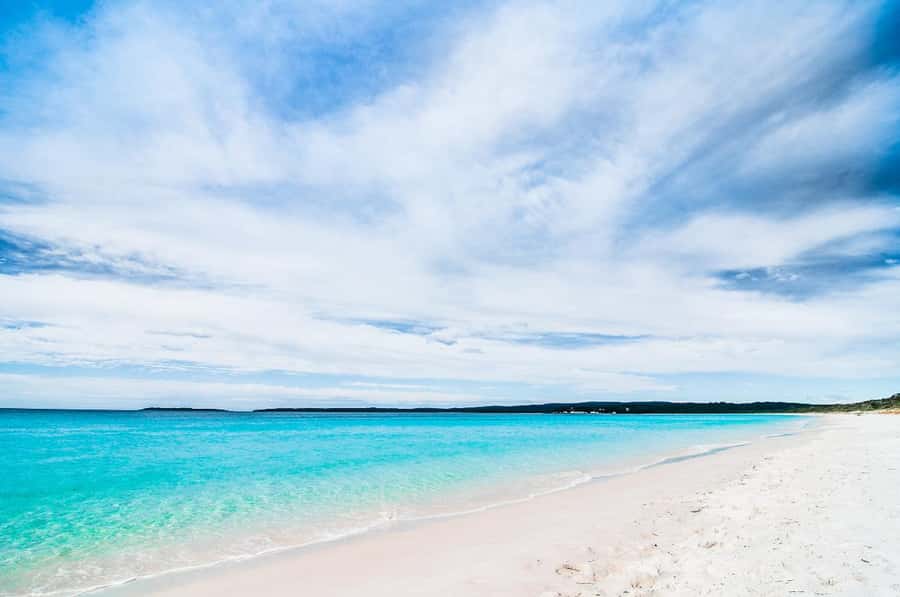 Sydney: Jervis Bay Day Trip with Dolphins, Roos & Beach Time - Royal National Park stop: quick photos, quick reality check