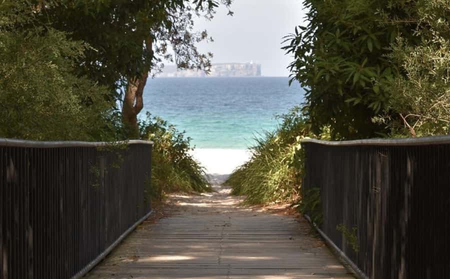 Sydney: Jervis Bay Day Trip with Dolphins, Roos & Beach Time - Hyams Beach and the White Sands Trail: walking the Guinness record