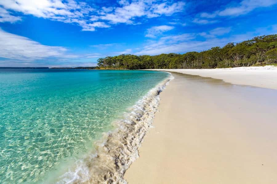 Sydney: Jervis Bay Day Trip with Dolphins, Roos & Beach Time - Weather, swimming, and what to pack so you stay comfortable