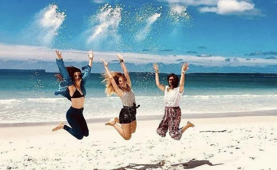 Sydney: Jervis Bay Day Trip with Dolphins, Roos & Beach Time - Dolphin cruise in Jervis Bay Marine Park: what you are really paying for