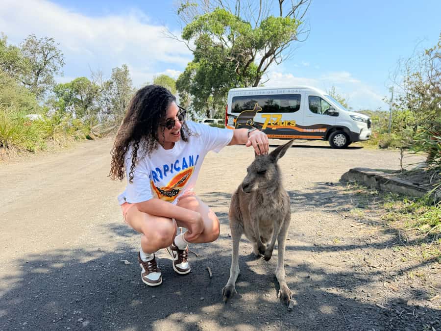 Sydney: Jervis Bay & South Coast Small Group - Key Highlights You Will Feel Immediately