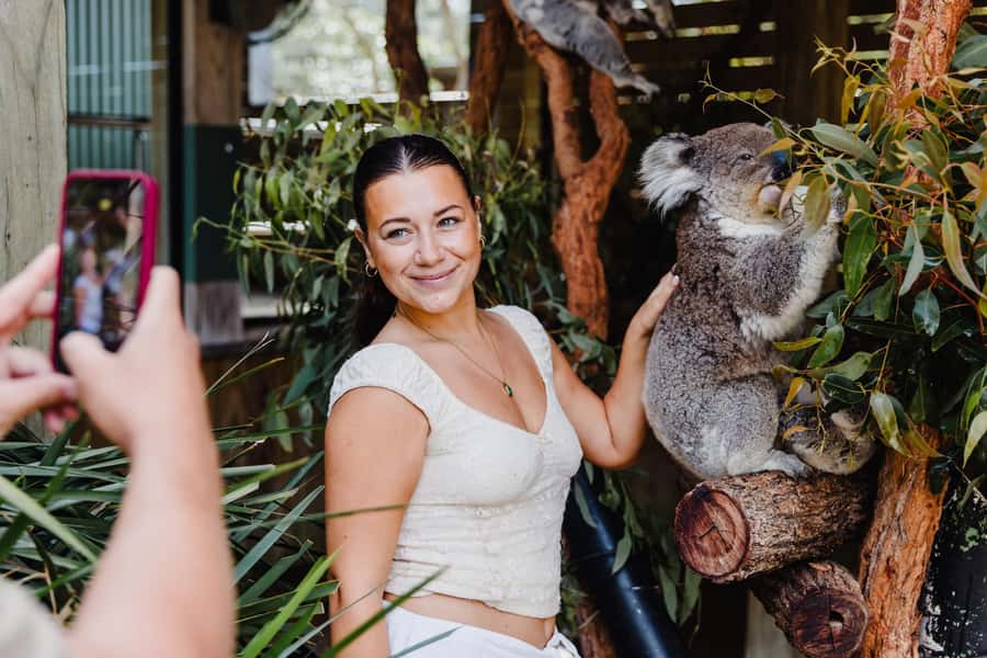 Sydney: Jervis Bay Tour with Beaches, Koalas & Kangaroos - Why Jervis Bay feels like a change of pace from Sydney