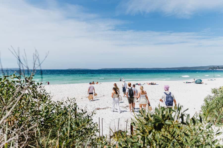 Sydney: Jervis Bay Tour with Beaches, Koalas & Kangaroos - Looking for giant stingrays at a tidal inlet