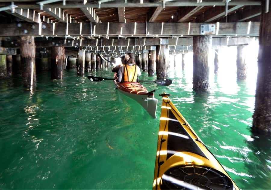 Sydney: Kayak to Goat Island At The Heart of Sydney Harbour - Who should book this, and who should skip it