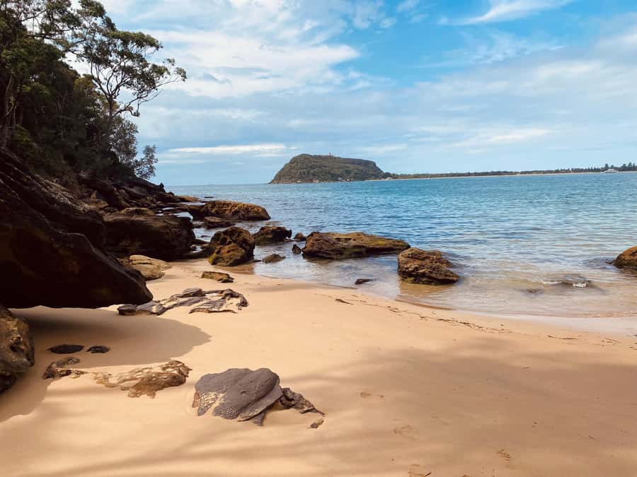 Sydney: Ku-ring-gai National Park with swim and picnic - Key highlights to look for