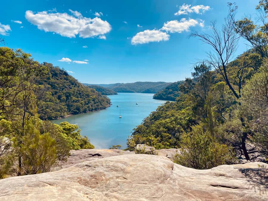 Sydney: Ku-ring-gai National Park with swim and picnic - Ku-ring-gai Chase feels like a different Sydney