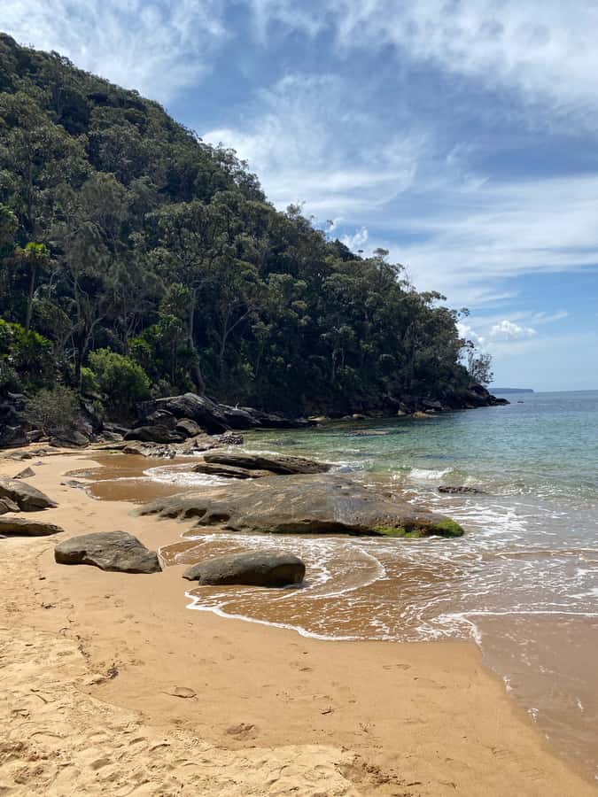 Sydney: Ku-ring-gai National Park with swim and picnic - West Head Lookout: the fast way to start seeing the water