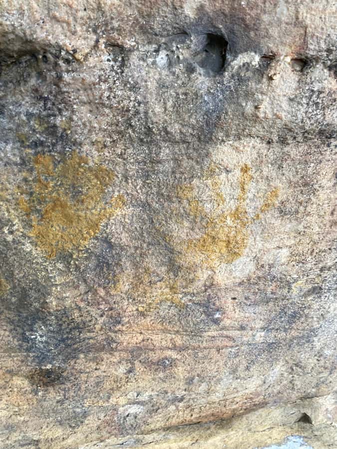Sydney: Ku-ring-gai National Park with swim and picnic - The guided Aboriginal rock engravings segment that actually helps you look