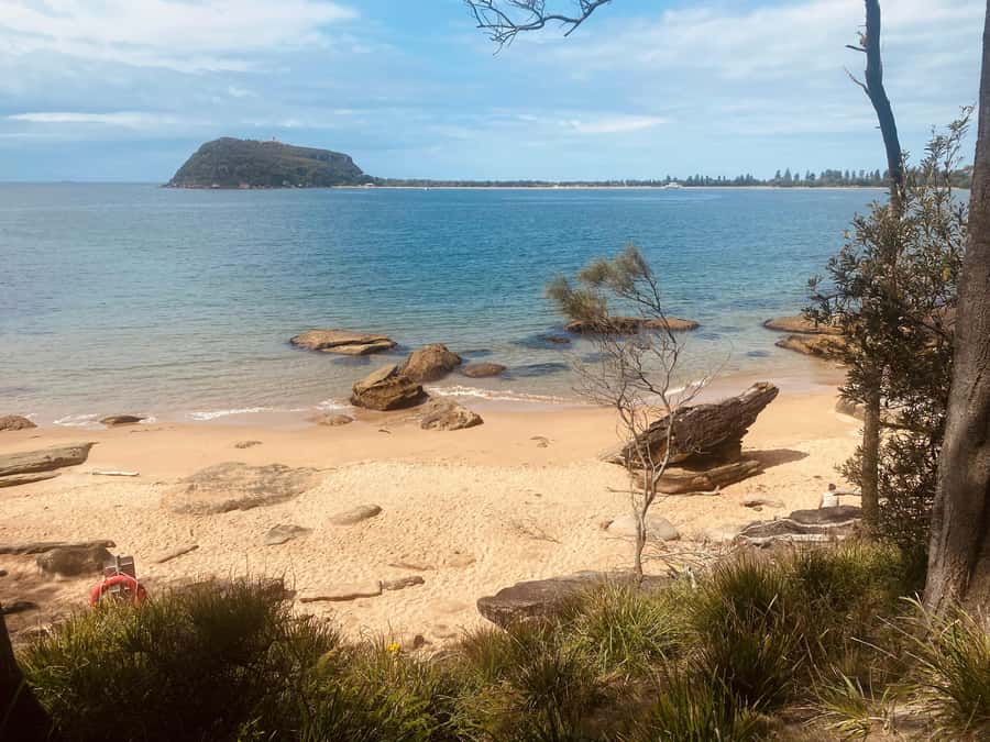 Sydney: Ku-ring-gai National Park with swim and picnic - Swimming and the hidden-beach payoff