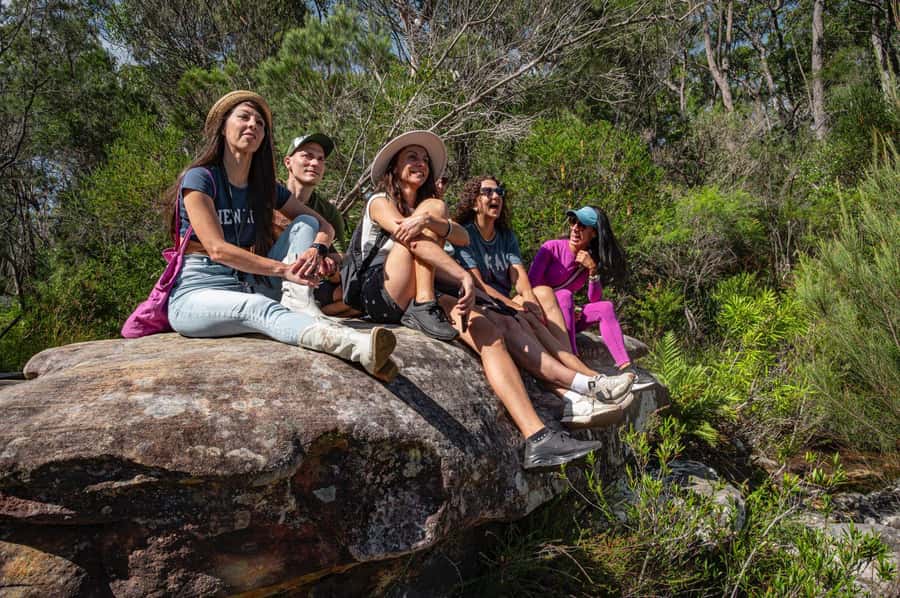 Sydney: Ku-ring-gai National Park with swim and picnic - Picnic time: local cheeses, kombucha, and a slower pace