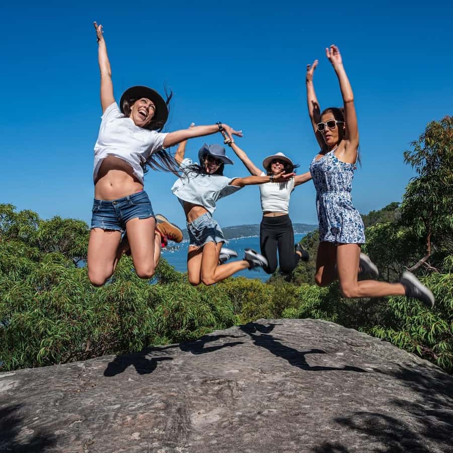 Sydney: Ku-ring-gai National Park with swim and picnic - Price and value: why $201 can make sense