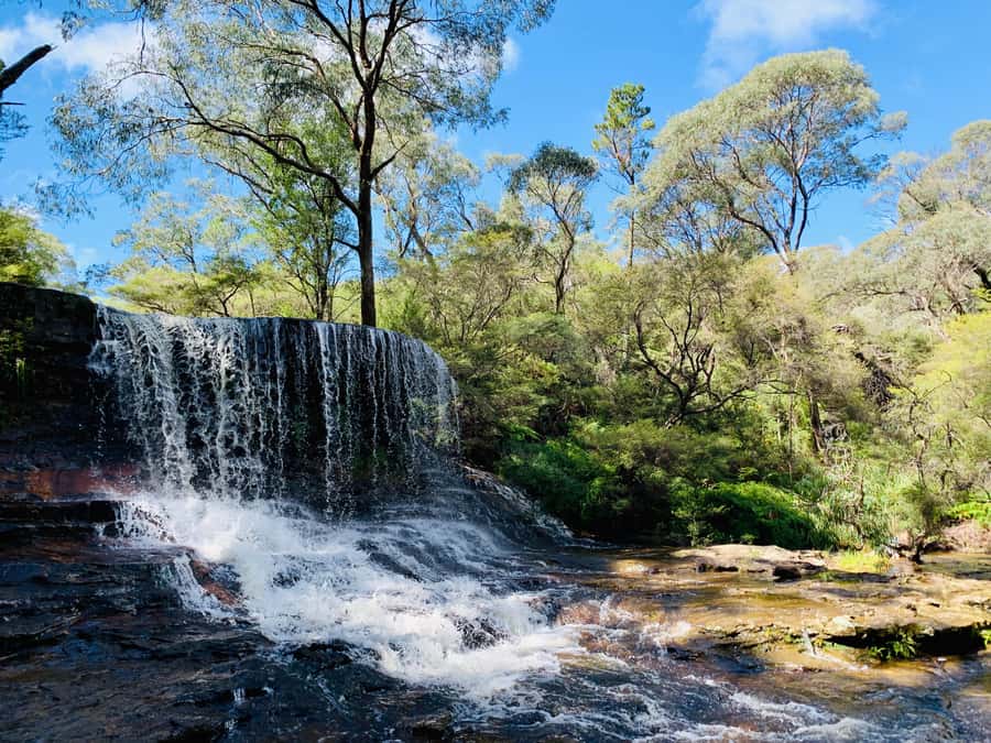 Sydney: Luxury Blue Mountains Adventure with Wentworth Falls - Highlights That Matter (Not Just Checkboxes)