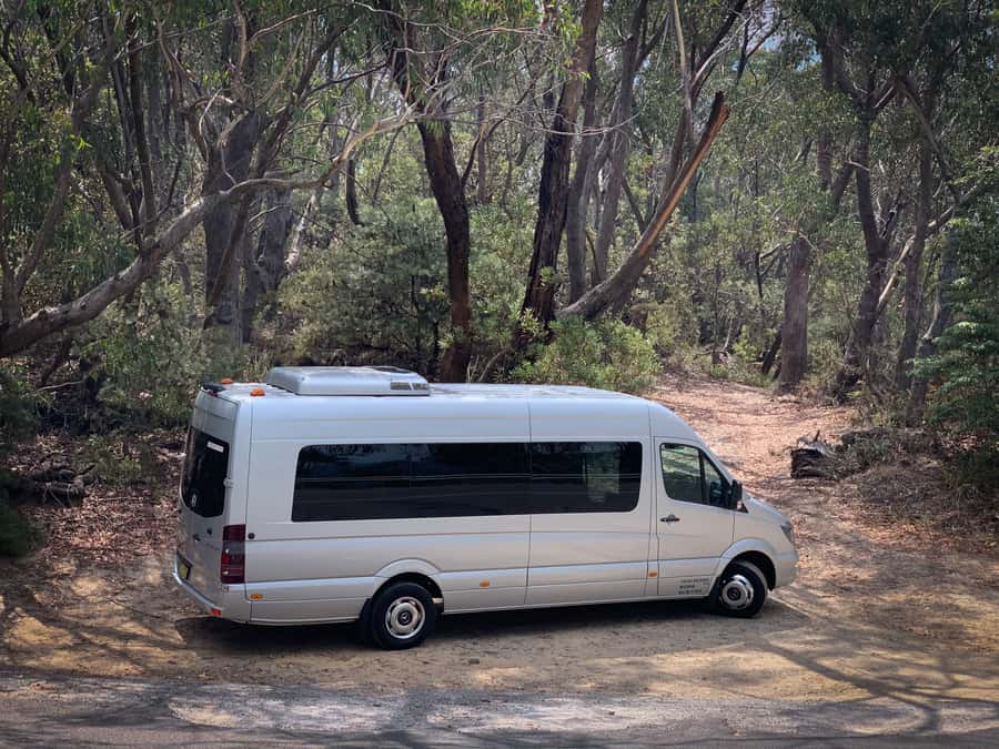 Sydney: Luxury Blue Mountains Adventure with Wentworth Falls - Small-Group Style and the Role of the Guide
