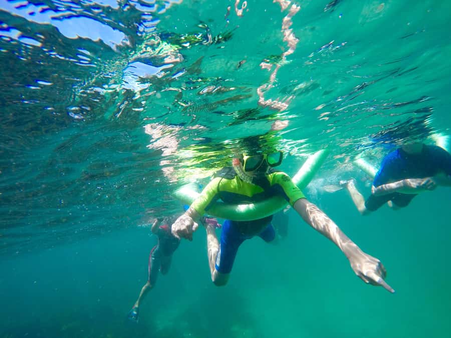 Sydney: Manly and Shelly Beach Snorkeling Tour - Cabbage Tree Bay Aquatic Reserve: the protected reef you’ll snorkel for 1 hour