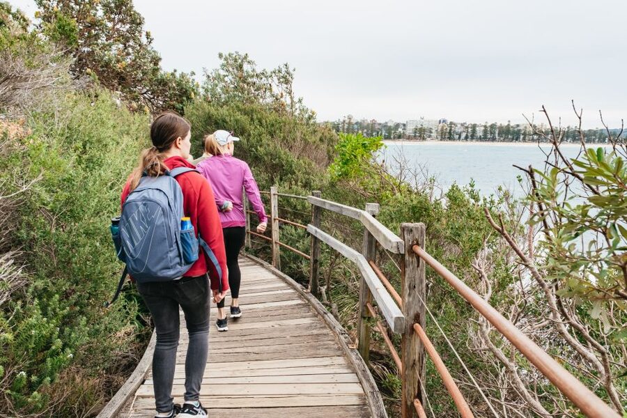 Sydney: Manly and Shelly Beach Snorkeling Tour - Price and value: what $77 buys you in a protected Sydney swim