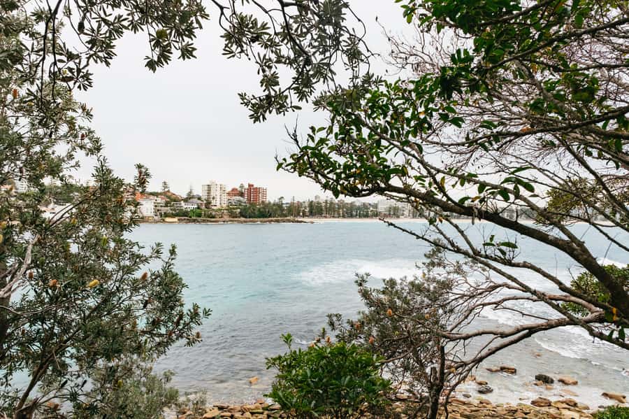 Sydney: Manly and Shelly Beach Snorkeling Tour - Who should book this tour, and who should skip it
