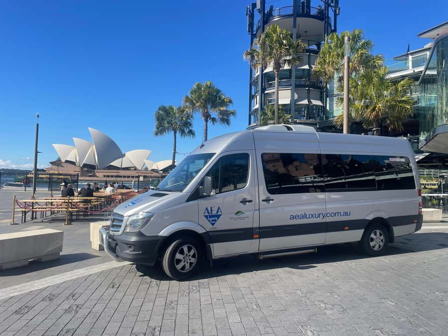 Sydney: Morning Sightseeing Bus to Bondi with Lunch Cruise - Rose Bay and the Gap stops: short breaks, big payoff