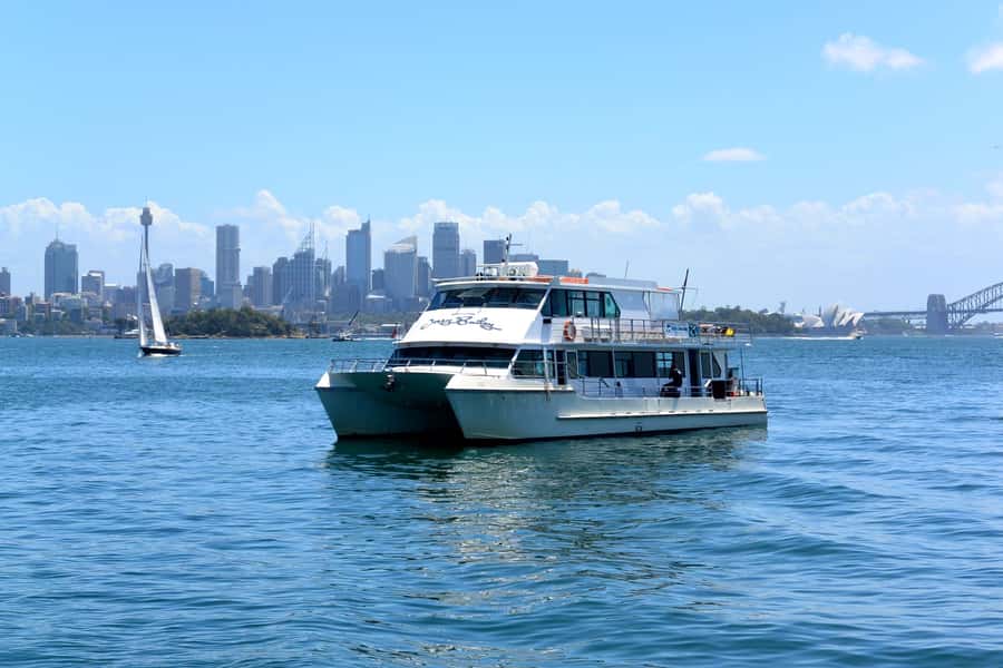 Sydney: Morning Sightseeing Bus to Bondi with Lunch Cruise - The Rocks and the early photo rhythm through Sydney’s center