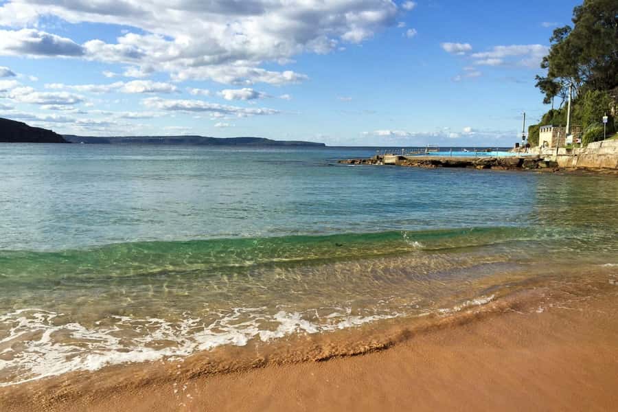 Sydney: Northern Beaches and Ku-ring-gai National Park Tour - Key things I’d circle before you book